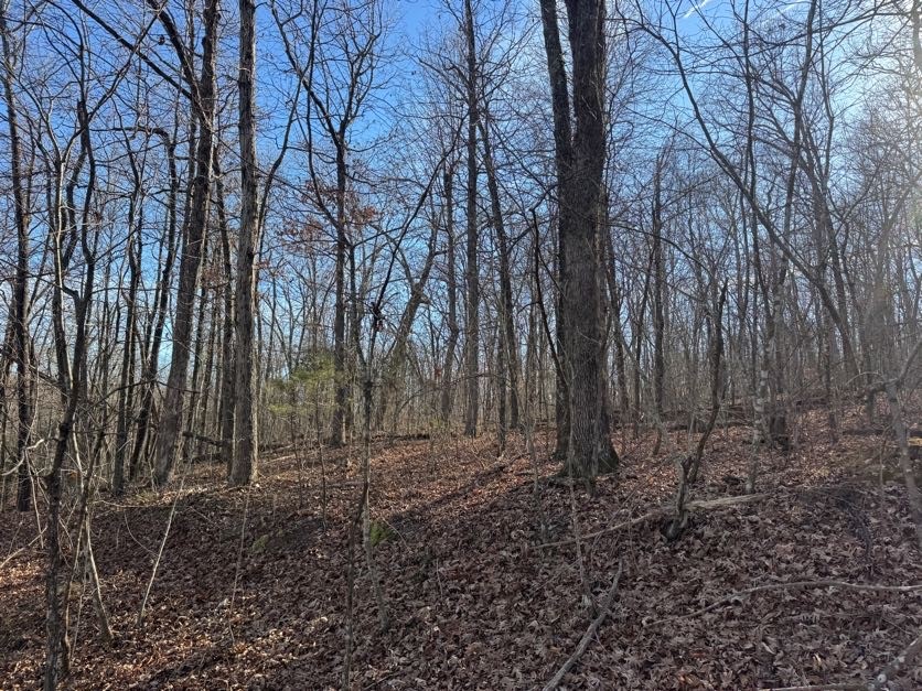 not in subdivision - Land