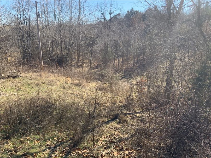 Mostly wooded 3 acre parcel. Rural water, Power, septic and phone already on site!!!!!! Great location.  Some fencing and grown up clearings to be reclaimed. Less than 10 minutes to shopping. A lot of the work and expense has already been done for you. Act quick.