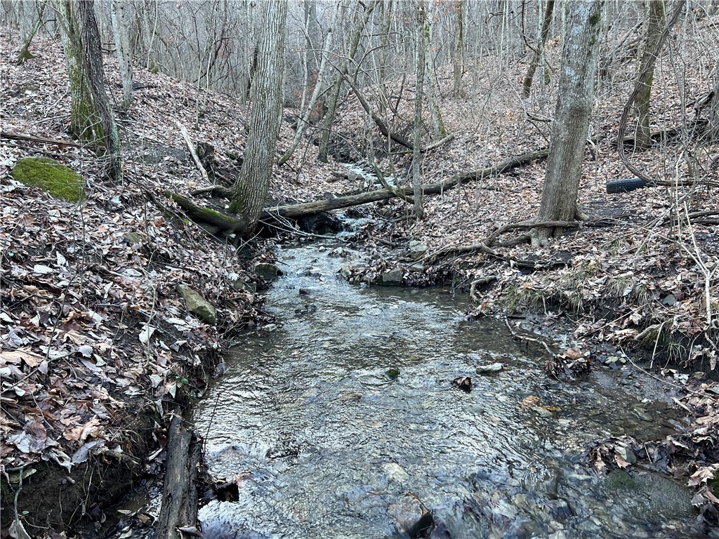 8.21 surveyed acres located just south of Marshall, AR 72650. The property has paved Hwy 65 road frontage, seasonal creek, woods, bluffs, rock outcroppings, and beautiful views. With a little clearing this could make a great place for a home or cabin. Itās approximately 15 minutes to the Buffalo National River,1.5 hours to Branson, Mo., 1 hour to Conway, AR. Owner financing possible.