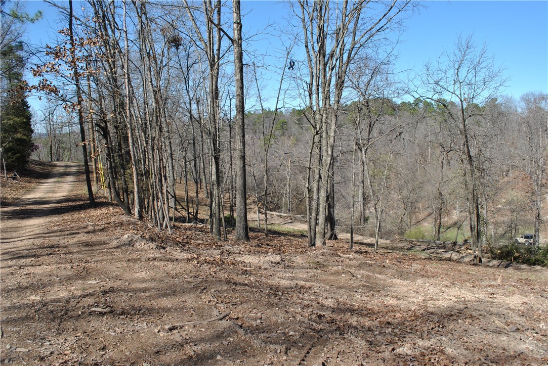 Tanglewood Resort 2 Rurban - Land