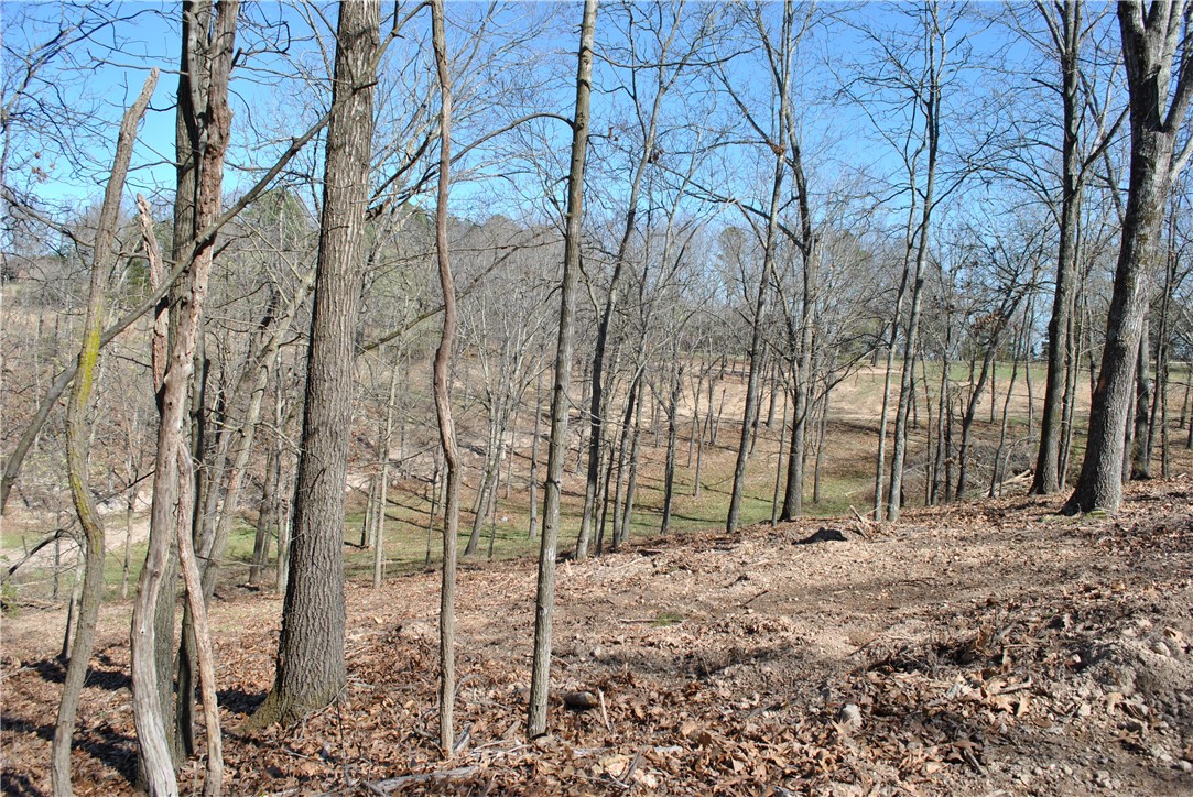 New survey April 2024 ! Build your lake area cabin on this wooded lot in the Rocky Branch Resort area. About a mile and a half from public boat launch at Rocky Branch State Park and Marina. Nearby Hobbs State Park hiking and biking trails, War Eagle Mill and Caverns. Electricity runs along East Robin Road and seller is planning on creating an easement across the top of the lots to facilitate municipal water access from Rocky Branch Road. Taxes shown are for the entire 4.22 acre parcel. Additional lots available.