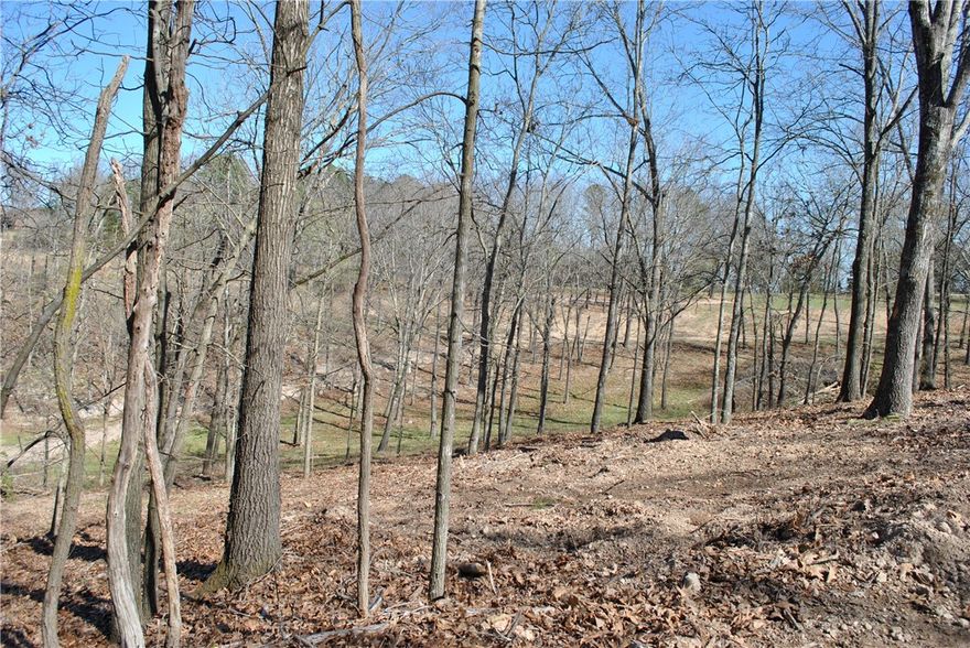New survey April 2024 ! Build your lake area cabin on this wooded lot in the Rocky Branch Resort area. About a mile and a half from public boat launch at Rocky Branch State Park and Marina. Nearby Hobbs State Park hiking and biking trails, War Eagle Mill and Caverns. Electricity runs along East Robin Road and seller is planning on creating an easement across the top of the lots to facilitate municipal water access from Rocky Branch Road. Taxes shown are for the entire 4.22 acre parcel. Additional lots available.