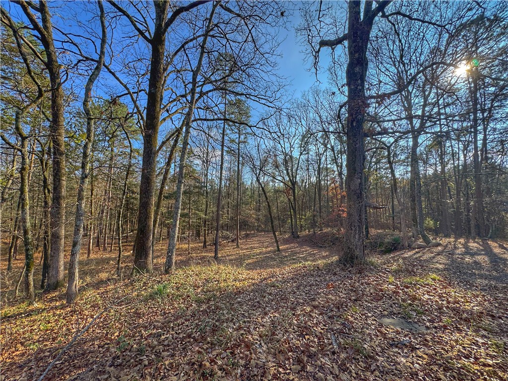 SPRING MOUNTAIN RANCHETTES - Residential