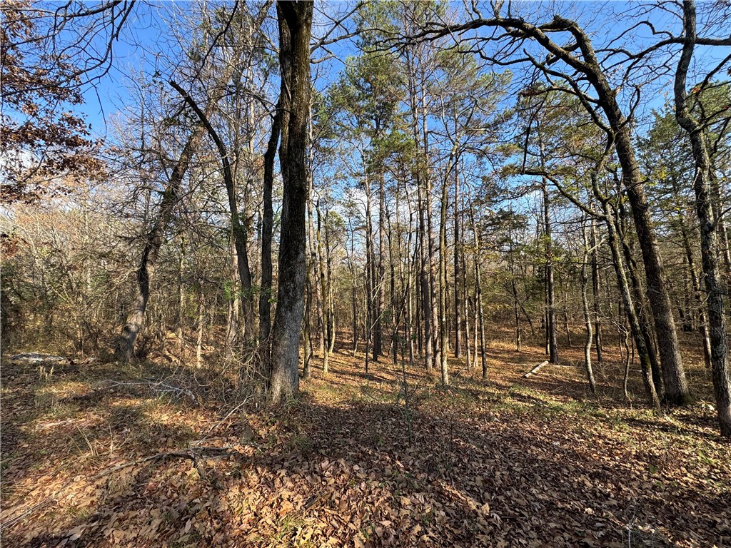 SPRING MOUNTAIN RANCHETTES - Residential