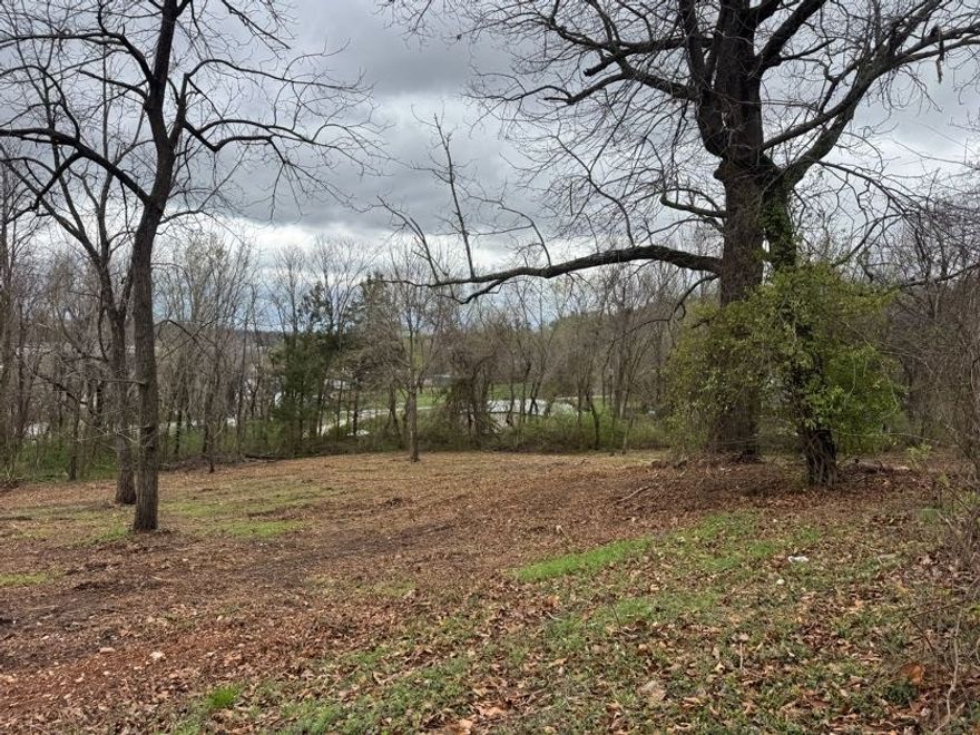 2.83 acre lot in Harrison near Pizza Hut and Medical Plaza just off of Main Street. Mostly cleared and ready to build.
