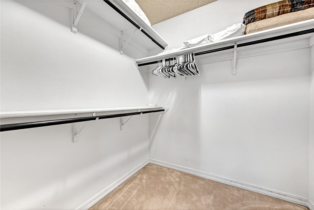 Dunedin - Residential