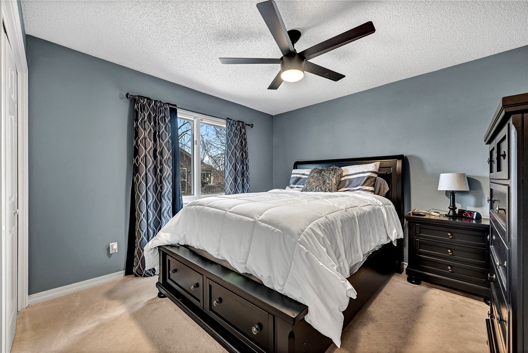 Dunedin - Residential