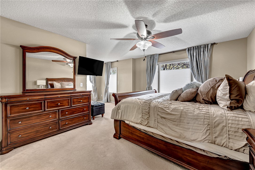 Dunedin - Residential