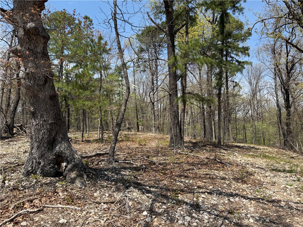 Dreaming of a private homestead retreat near Eureka Springs and Beaver Lake? This beautiful 22+ acre property has already had some clearing done to prepare for a homesite in one of the best spotsāoffering both privacy and potential views.
The land is filled with mature hardwoods and vibrant seasonal blooms, creating a stunning backdrop year-round. Wildlife is abundant, making it feel like your own nature preserve to enjoy for generations.
Gently rolling terrain makes it easy to build deeper into the woods for added seclusion, and thereās even potential to open up a lovely view just before the land slopes toward a ravine. An all-seasons creek flows near the western edge of the property, adding to the natural charm of this serene setting.
Located close to Beaver Lake, Table Rock Lake, and rivers like the White, Kings, and Buffalo, this property offers endless outdoor adventure and peaceful living in the heart of Northwest Arkansas.
Electricity is at the road (CR 1027); well and septic will be needed.