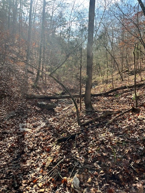 Southern Hills Sub - Land