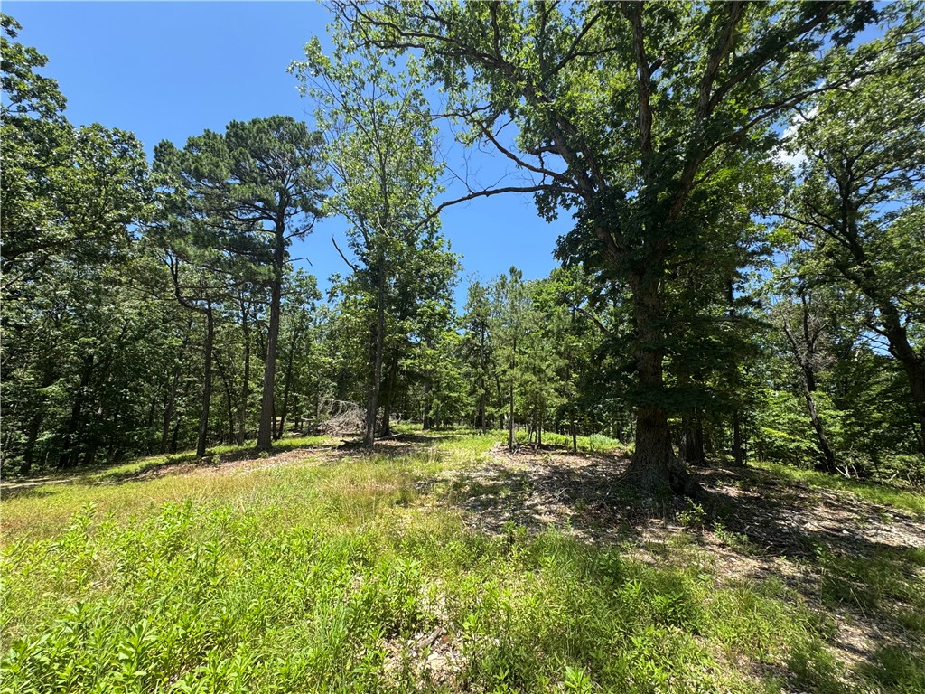 Southern Hills Sub - Land