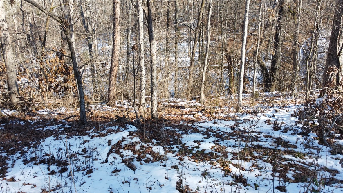 This lot is located less than half a mile off 71B. Easy access to town center, post office, Lake Norwood and Lake Ann.