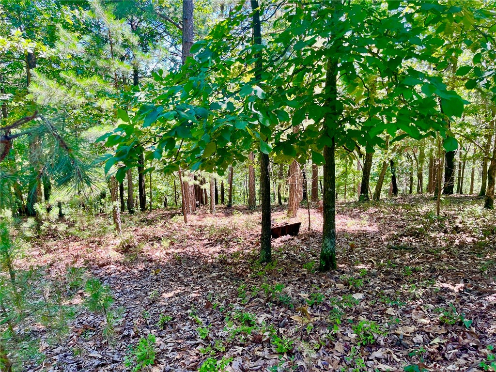 Great buildable lot in the Pines Subdivision. This wooded lot at the end of a cul-de-sac offers both privacy and convenience. Utilities at the street