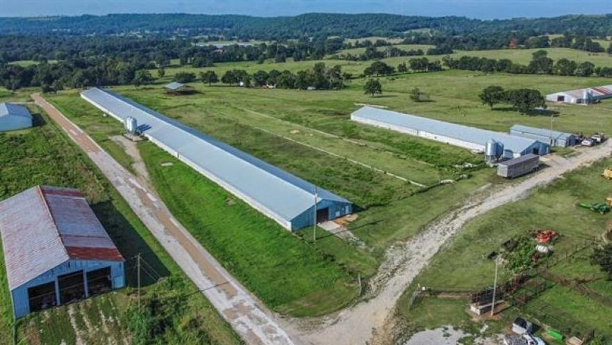 Marion county farm previously ran as a turkey farm could be updated to still run turkeys or chickens. Five barns totaling 120,000 sq ft sitting on 30 pasture acres m/l with a pond all fenced and cross fenced.  There is one 720 x 50 footing that could have another barn.  Workshop with 3 phase power and bathroom along with 5 - 1000-gallon water tanks. Both city water and a well (40 gpm). Houses are heated with propane. Hook ups for a home or trailer as a residence on site. Separate carport for equipment and a large stacking shed for hay or other storage.