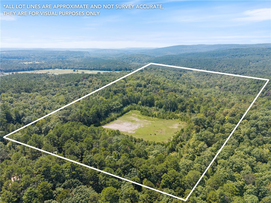 This 80 acre tract is a RARE FIND - almost completely surrounded by the Ozark National Forest and part of it adjoining the Ozark National Forest Wildlife Management Area. Whether you're looking for prime hunting land, a recreational getaway, or a place to build your dream retreat, this property delivers! The land offers a wide variety of terrain, ranging from flat and rolling ground to steeper slopes, making it ideal for both outdoor adventure and diverse wildlife habitat. Deer, turkey and other game are abundant, creating excellent hunting opportunities. Access is convenient with frontage along Granny Gap 1 Road, and the property spans both sides of the road for quite a distance . Electricity is nearby, giving you the option to build a hunting cabin, weekend retreat or full time residence. If you've been searching for a private escape in the heart of the Ozarks, this property provides unmatched seclusion with national forest lands as your backyard. Mineral rights do not convey. Agents: See private remarks