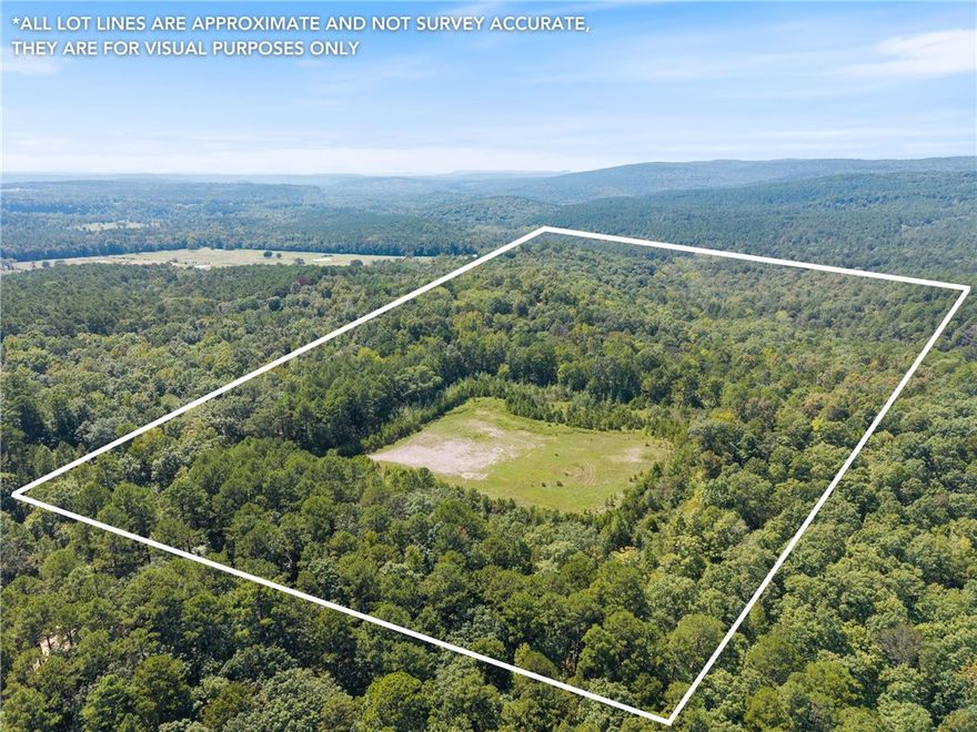 This 80 acre tract is a RARE FIND - almost completely surrounded by the Ozark National Forest and part of it adjoining the Ozark National Forest Wildlife Management Area. Whether you're looking for prime hunting land, a recreational getaway, or a place to build your dream retreat, this property delivers! The land offers a wide variety of terrain, ranging from flat and rolling ground to steeper slopes, making it ideal for both outdoor adventure and diverse wildlife habitat. Deer, turkey and other game are abundant, creating excellent hunting opportunities. Access is convenient with frontage along Granny Gap 1 Road, and the property spans both sides of the road for quite a distance . Electricity is nearby, giving you the option to build a hunting cabin, weekend retreat or full time residence. If you've been searching for a private escape in the heart of the Ozarks, this property provides unmatched seclusion with national forest lands as your backyard. Mineral rights do not convey. Agents: See private remarks