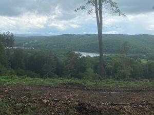 Incredible views of Table Rock Lake yet very private. Build that dream home with lake views and only 20 minutes to Branson, Mo or Harrison, Ar. Community Dock available!