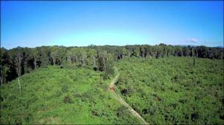 Your Opportunity Awaits: 90 +/- Acres off Highway 7Seize the chance to own this versatile 90 +/- acre property located just off Highway 7. Perfectly positioned for easy access, this expansive tract offers boundless opportunities for outdoor enthusiasts, hunters, or farmers looking to expand their operations.Hunting Paradise: Bordering Arkansas Game & Fish Commission land, this property is a dream for deer hunters, especially with deer season just around the corner. While much of the timber has been harvested, scattered wooded areas remain, providing excellent cover for wildlife and future land management possibilities.Livestock Potential: With some cleanup and fencing, this property is well-suited for livestock, making it an excellent choice for anyone seeking to develop land.