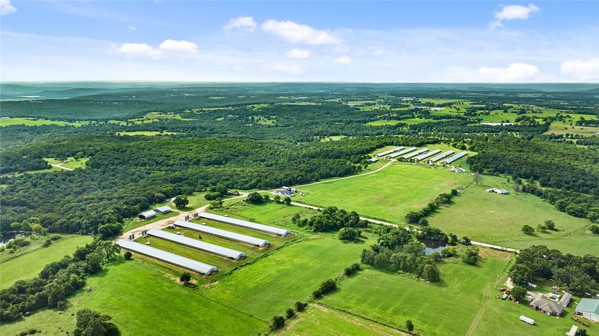 Chickens and dreams - Farm