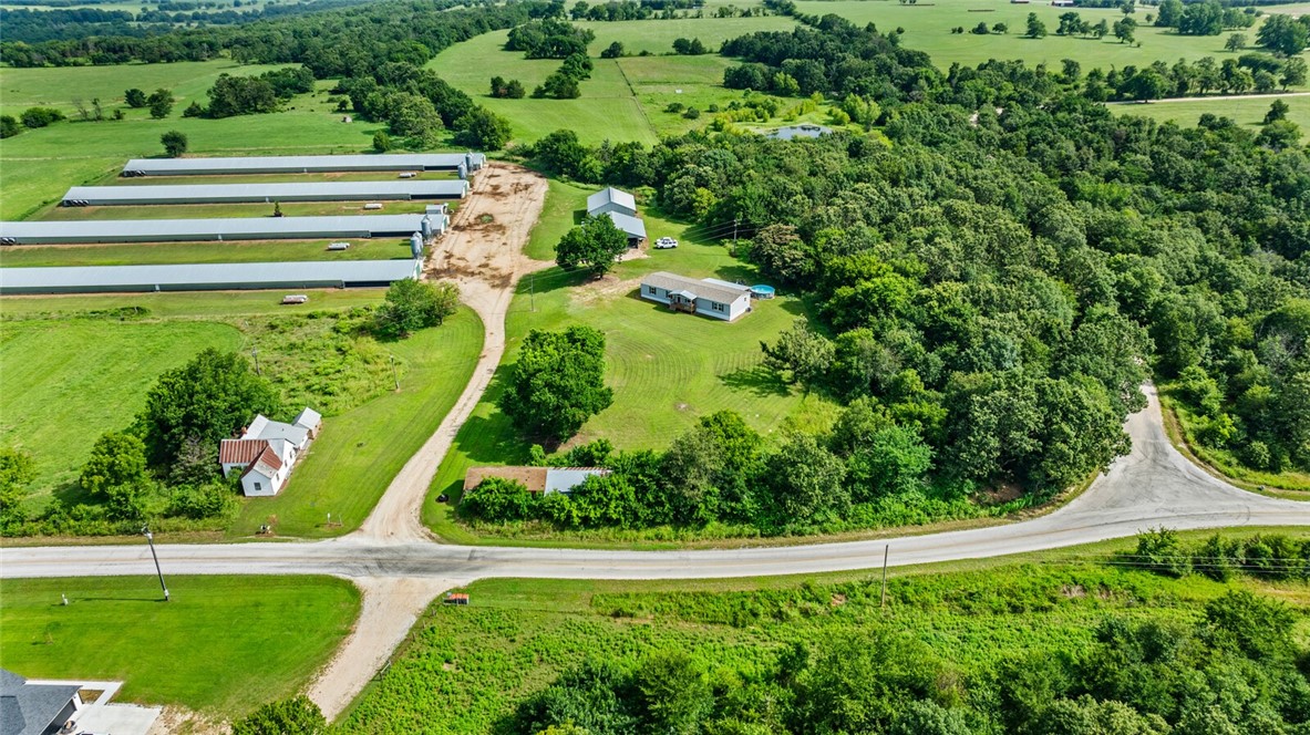 Chickens and dreams - Farm