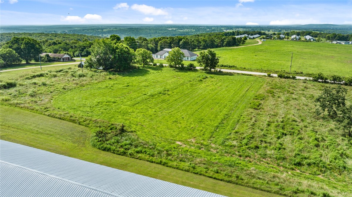 Chickens and dreams - Farm