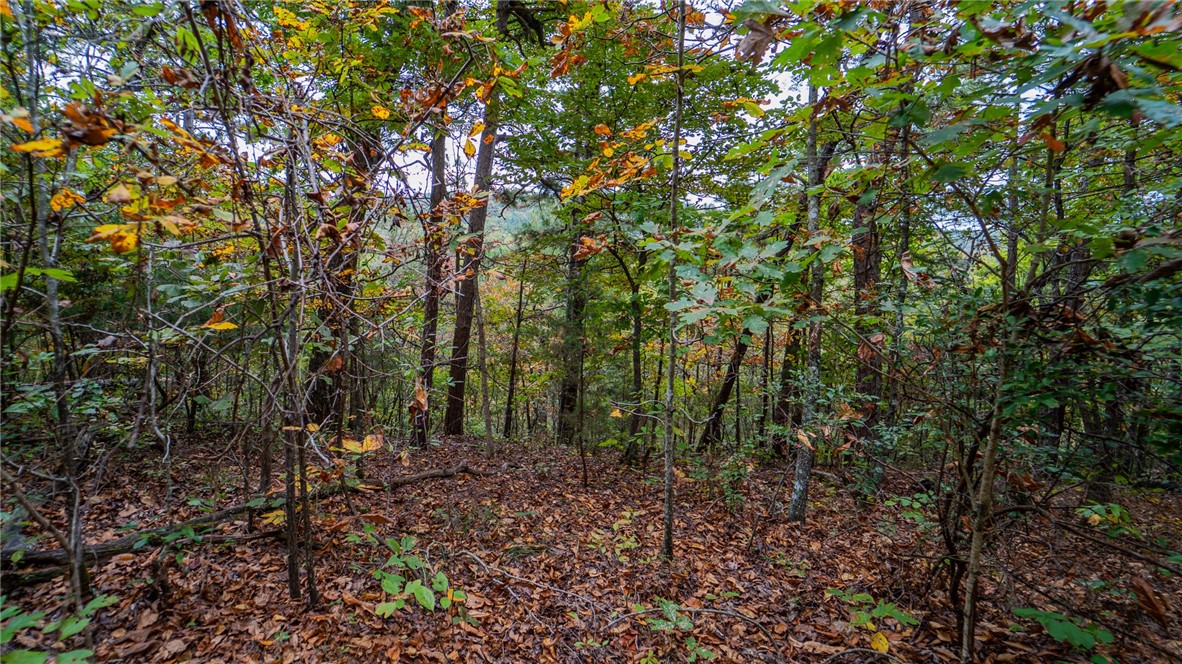 01-18-25 - Residential