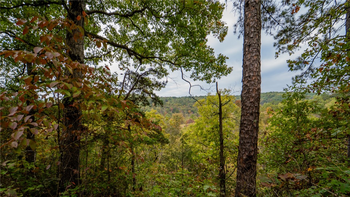 01-18-25 - Residential