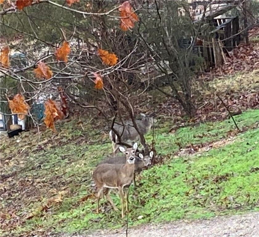 01-18-25 - Residential