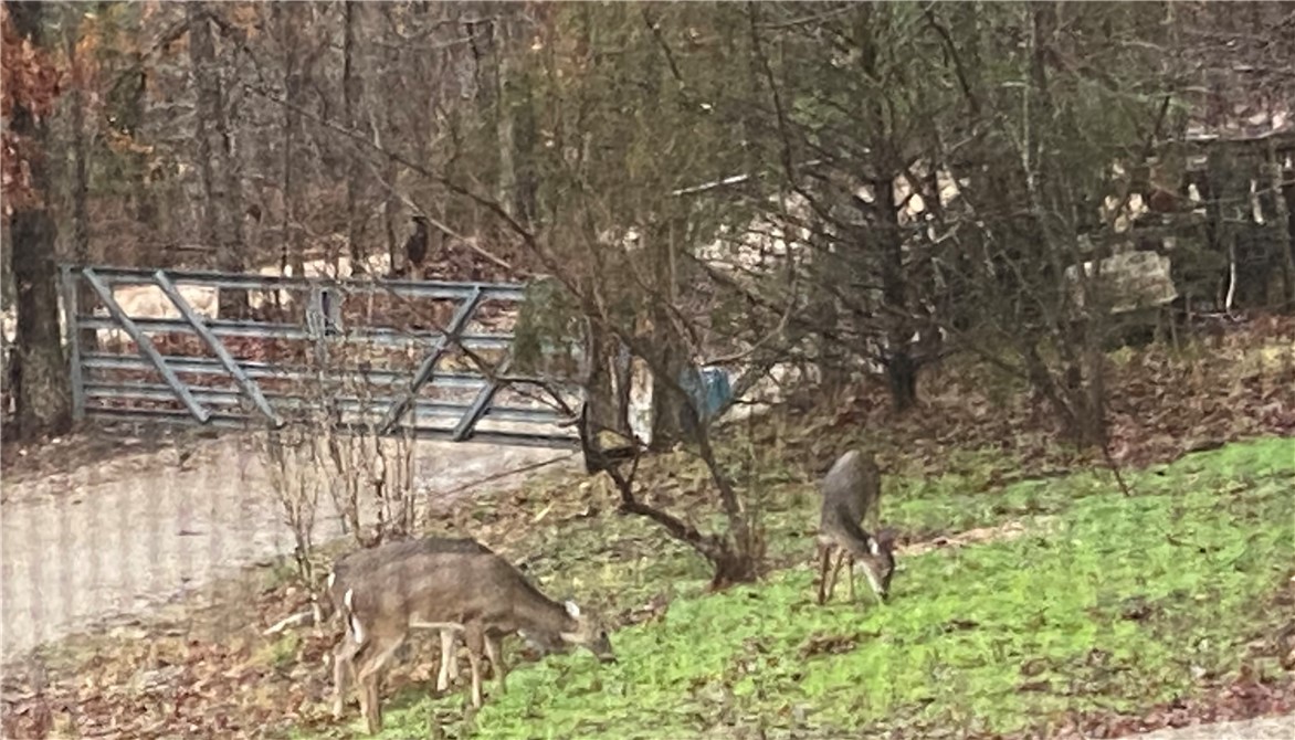 01-18-25 - Residential