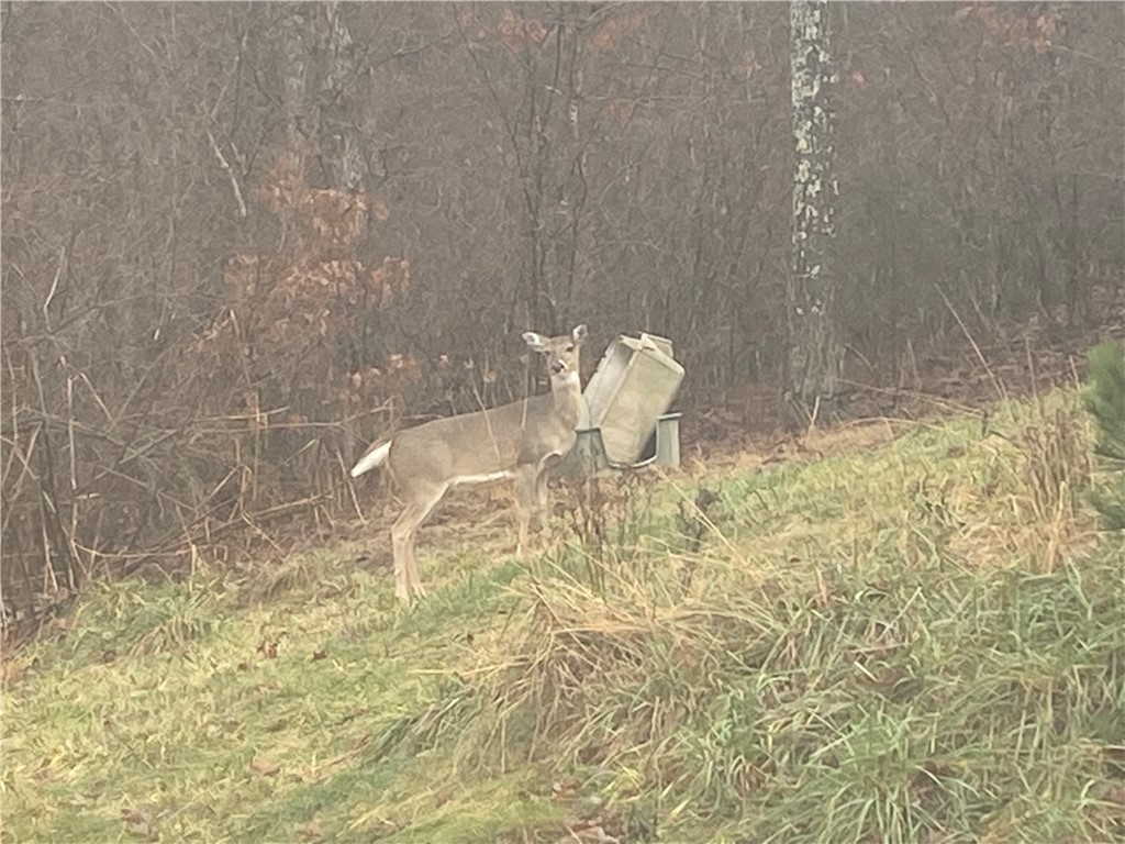 01-18-25 - Residential