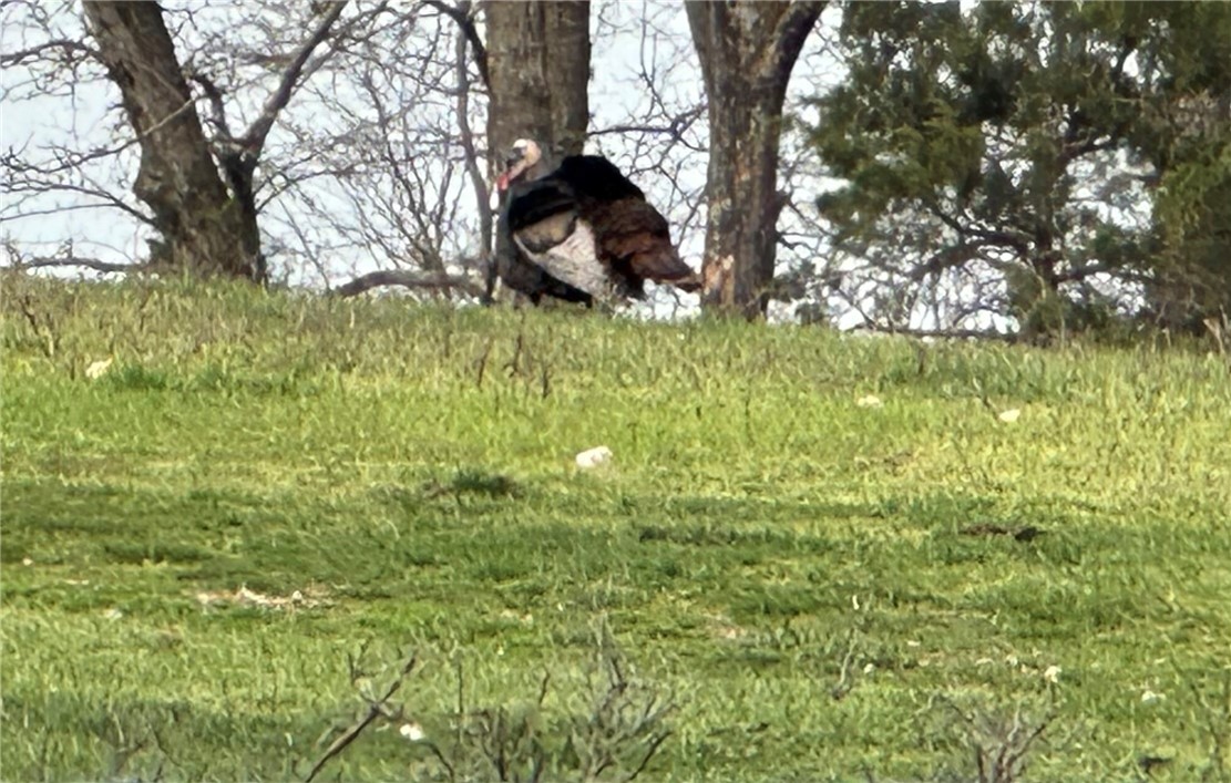 01-18-25 - Residential