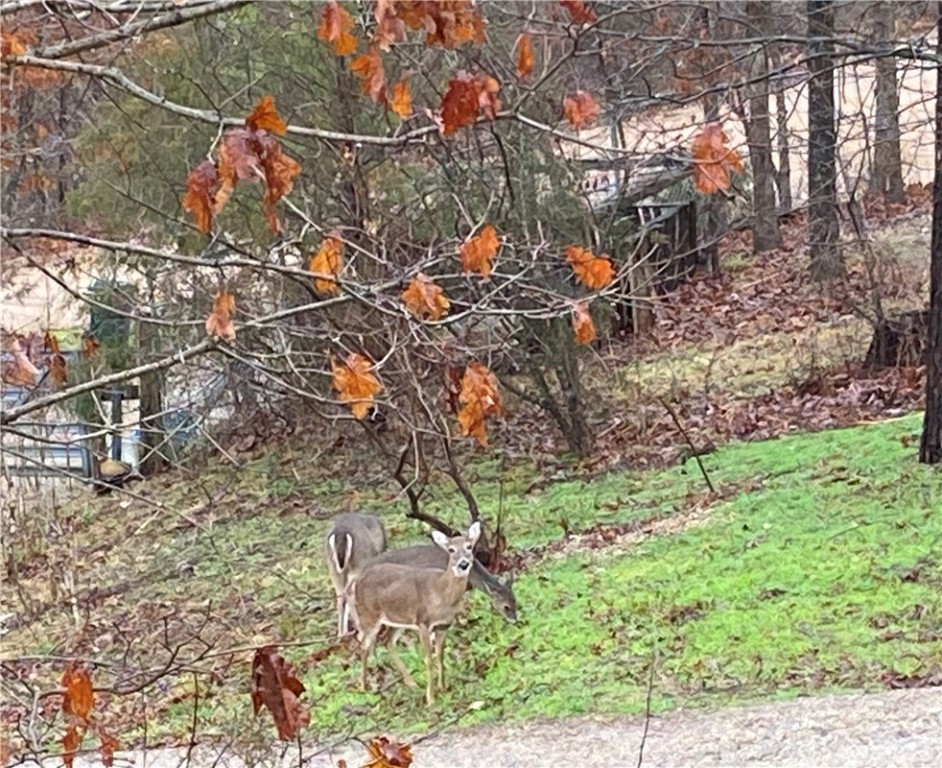 01-18-25 - Residential