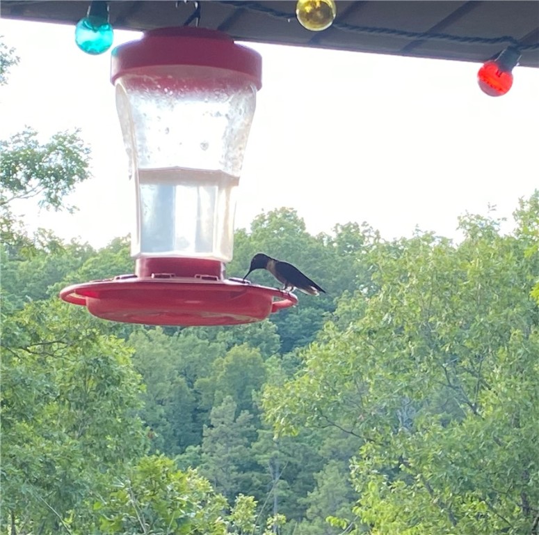 01-18-25 - Residential