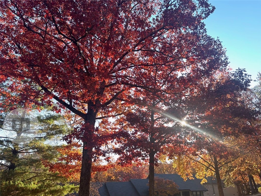 Shakespeare Courts Bvv - Residential