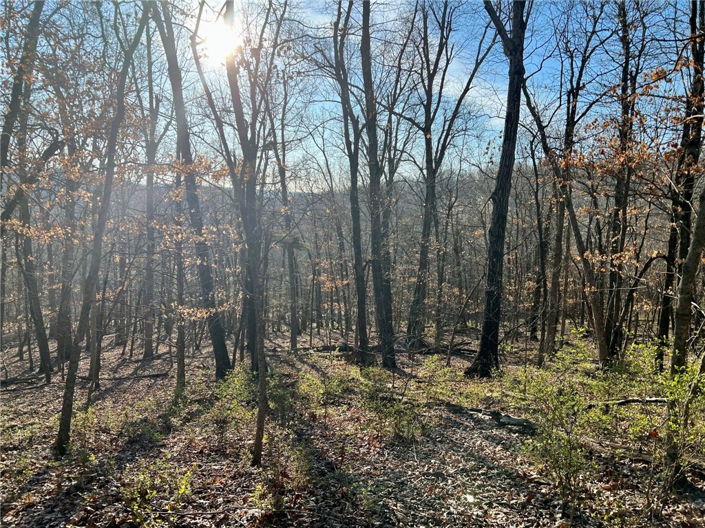 Talk about an amazing location! 5 beautiful, gently sloped acres on Kessler Mountain, just minutes from Downtown Fayetteville. Wooded, with a spectacular sunrise view! Property backs up to Traverse Trail with a beautiful bluff line, and there is private trail access at the NW corner of the property. Build the home you've always dreamed of! The property is just outside of city limits but so close to shopping, dining, U of A, trails, and quick highway access. Public water at the street, on-site septic needed.
