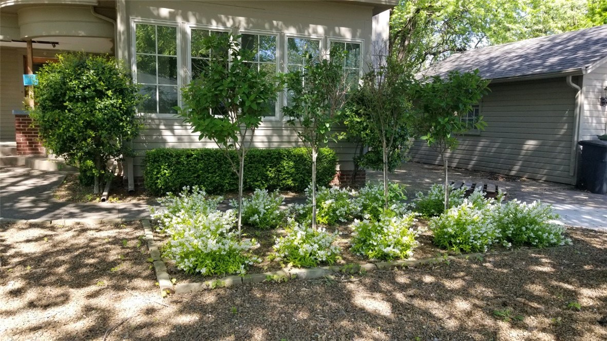 Dickson - Residential