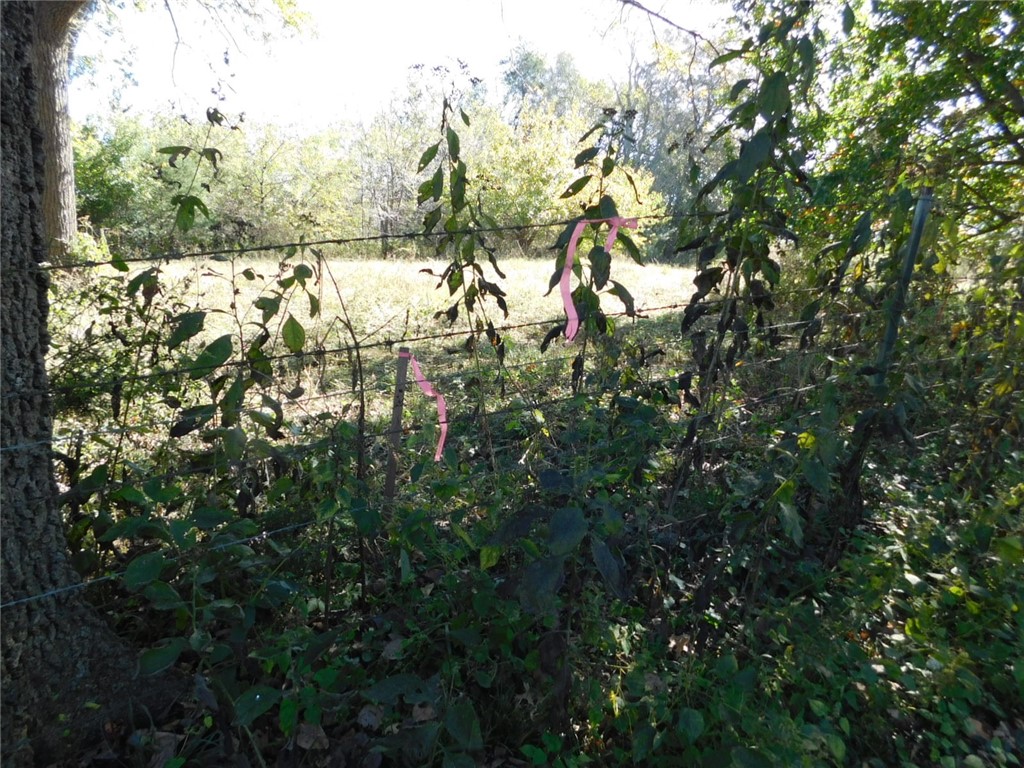 Fayetteville Outlots - Land