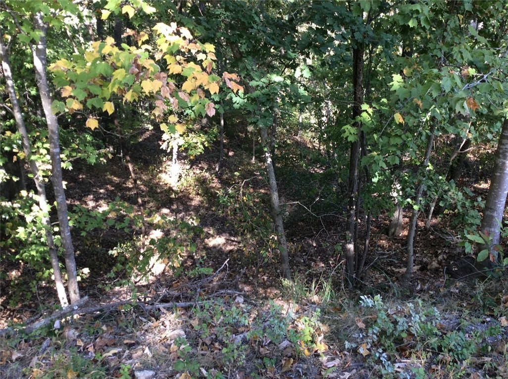 Come see this .26 Acre lot situated on Quiet Cul-de-sac street. Wooded lot with completed Perc test available. Located in the desirable Bella Vista community, Close to Tunnel Vision Trail you're just minutes away from shopping, dining, and recreational amenities. Enjoy the nearby Bella Vista Lakes, golf courses, and hiking trails, making this location a haven for outdoor enthusiasts. Experience all that Bella Vista has to offer - Fine dining, 99 holes of golf, beach access, campgrounds, disc golf, a sauna, dog park, fitness facilities, mini golf, parks, pavilions, a gun range, pickle ball, tennis, swimming pools, and more than 100 miles of trails for hiking and biking, 7 scenic lakes around!