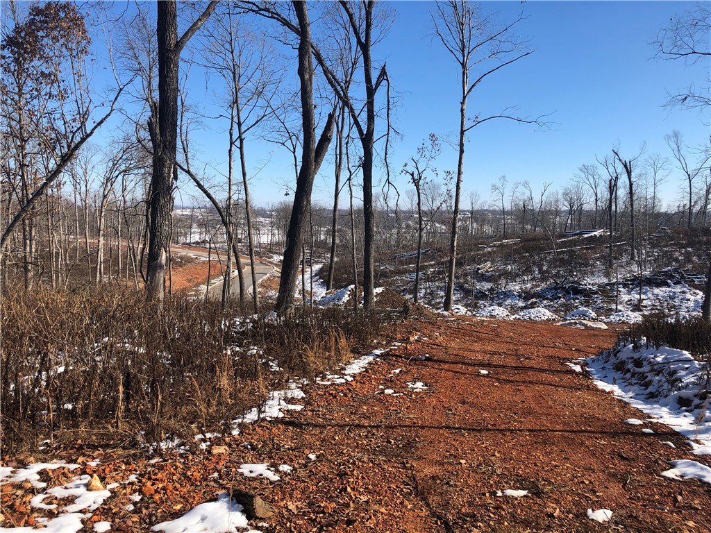 Build your new home in a natural large lot subdivision unlike any other in Bentonville. Built along Little Osage Creek, you can experience the glory of nature while still feeling a neighborhood vibe with paved roads including curb and gutter. Every property has access to the 9 acre common area along the creek to enjoy fishing, wading, and relaxing in this gorgeous setting. Horse friendly! Easily accessible to town and to the airport. At almost 5.5 acres, your new property has gorgeous views, plenty of woods, and space for your home and a barn, guest or pool house. This is the only property currently available! Don't miss out!