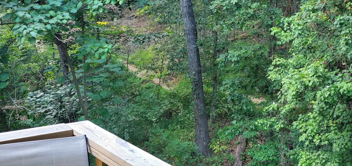 Kingsdale Courts - Residential Lease