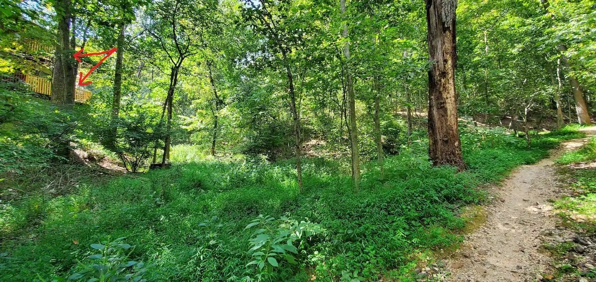 Kingsdale Courts - Residential Lease