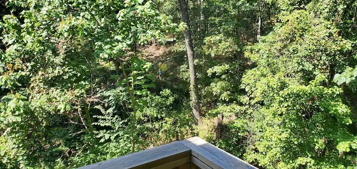 Kingsdale Courts - Residential Lease