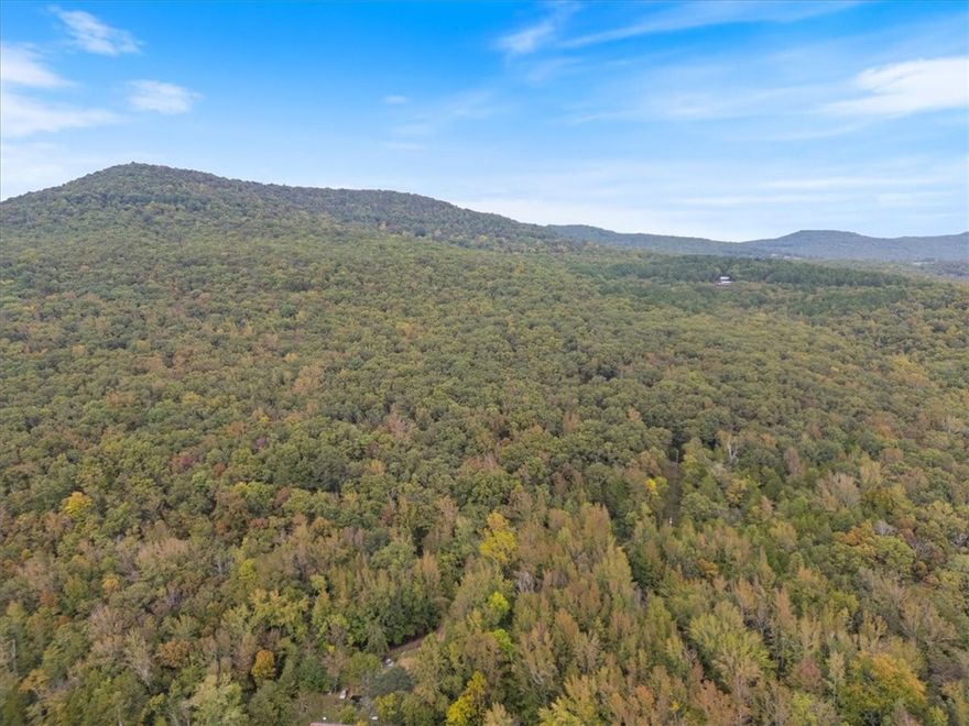 Great 80+ acres close to White River, perfect place for your next home. Could be off grid, or enjoy steaming sefvices with high speed fiber optic internet by Ozarks Go! This 80 acres includes road into perfect building spot, garden spots, hardwoods if you want to sell some timber, there is even an old hunting cabin that could be ressurected with a little work. Beautiful land in a great location. Come take a look at this.....