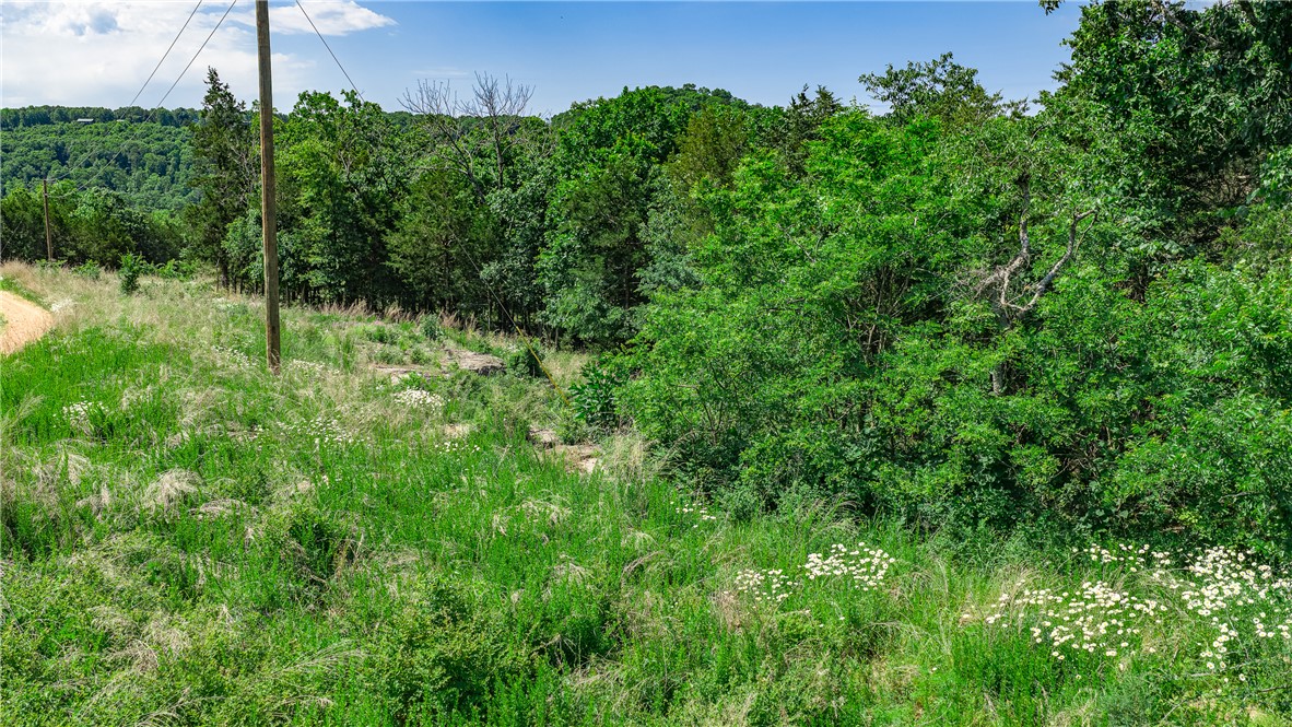 Huckleberry Point - Land