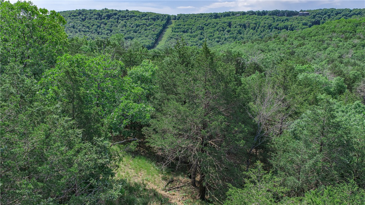 Huckleberry Point - Land