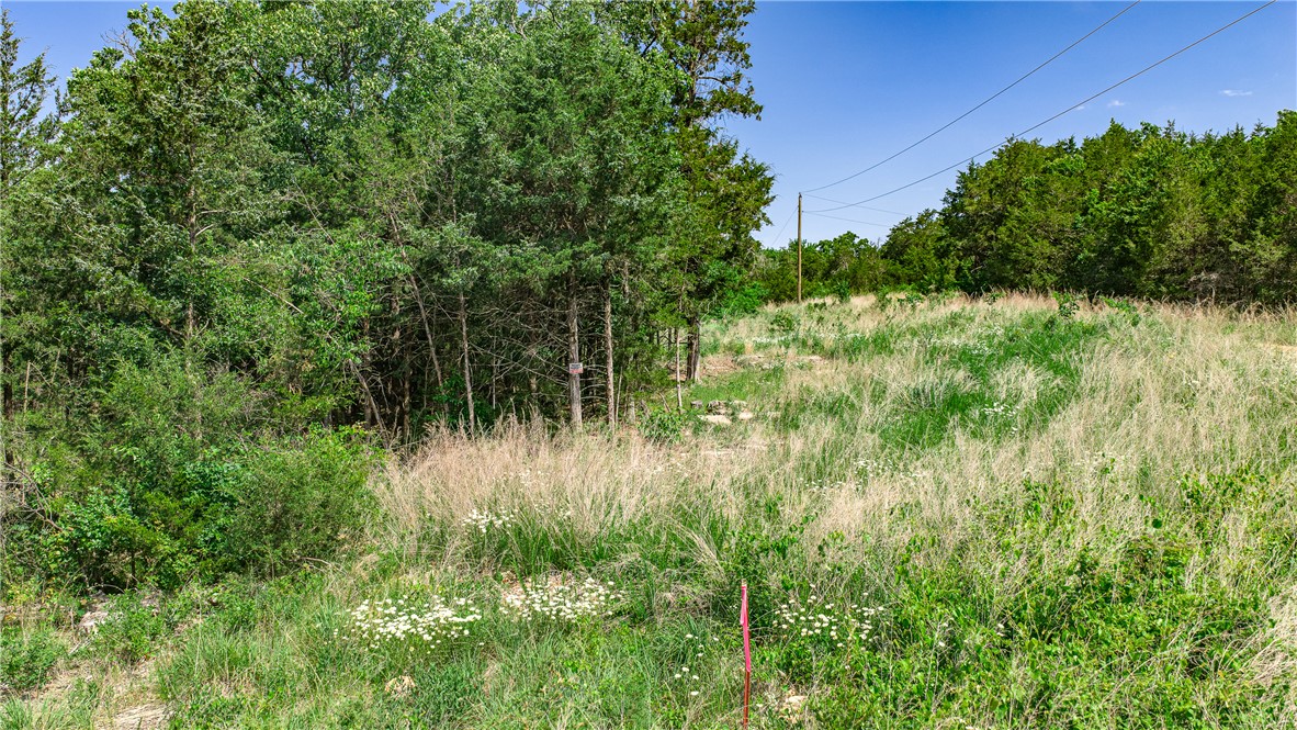 Huckleberry Point - Land