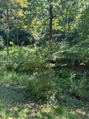 Valley View Add 2 - Residential