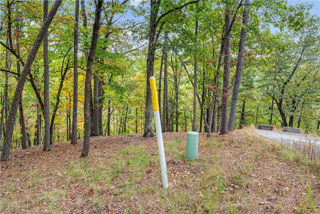 Riley & Armstrong - Land