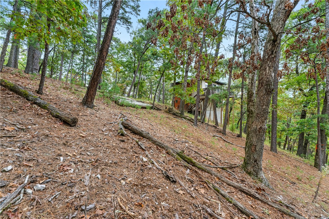 Riley & Armstrong - Land