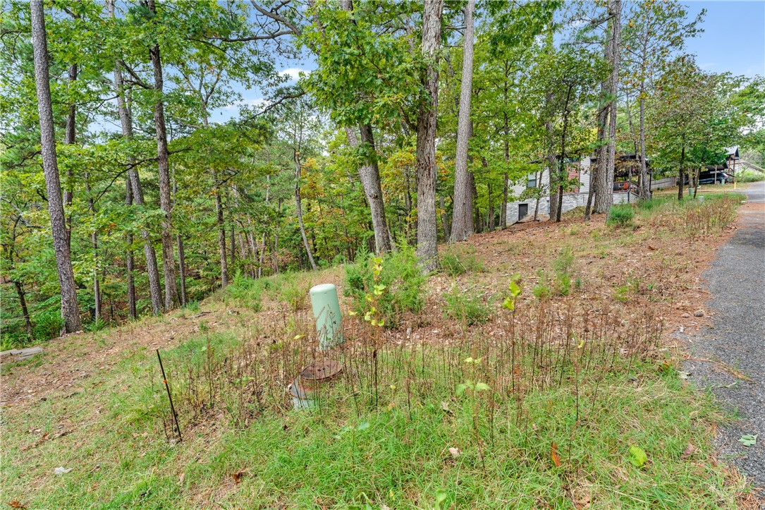 Riley & Armstrong - Land